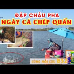 1️⃣【 Câu Cá Chép Tự Nhiên