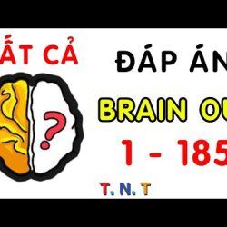 1️⃣【 Đáp án Brain out tiếng việt