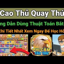 King Pro Dwin Hướng Dẫn Bắt Cầu Quay Thú Game Bài 68 Theo Thuật Toán Mới Chi Tiết Nhất Xem Ngay Nào