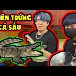 PHONG CẬN VÀ SIRO LẦN ĐẦU ĂN THỬ TRỨNG CÁ SẤU ĐÁNG SỢ KINH DỊ LÚC 3 GIỜ SÁNG VÀ CÁI KẾT SIÊU HÀI