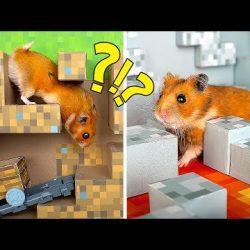 #Top1 : Mê Cung Chướng Ngại Vật Minecraft Cho Hamster