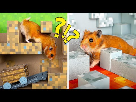 #Top1 : Mê Cung Chướng Ngại Vật Minecraft Cho Hamster
