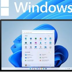 Bản cập nhật mới nhất của Windows 11 khiến card màn hình NVIDIA bị lỗi
