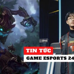 Tỷ lệ thắng của Maokai và Hecarim tăng vọt, Taki úp mở về tình hình nhân sự SGB