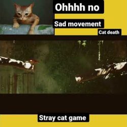 1️⃣【 🫣 | stray | stray gameplay | cat death 😭 | sad scene 🥺 | PC games | 2022 | #shorts