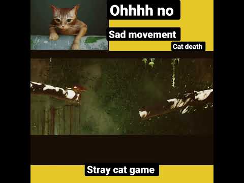 1️⃣【 🫣 | stray | stray gameplay | cat death 😭 | sad scene 🥺 | PC games | 2022 | #shorts
