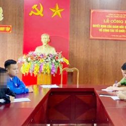 ‘Đạo chích nhí’ lẻn vào xe ô tô trộm điện thoại bán lấy tiền chơi game