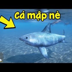 #Top1 : GTA 5 - Nuôi cá mập ở đập thủy điện và đi cắn người | ND Gaming